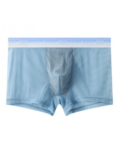WangJiang Transparent Polyester Fabric Boxer Shorts 3066-PJ blue