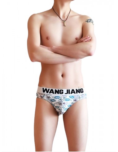 Cotton Briefs With Print by WangJiang