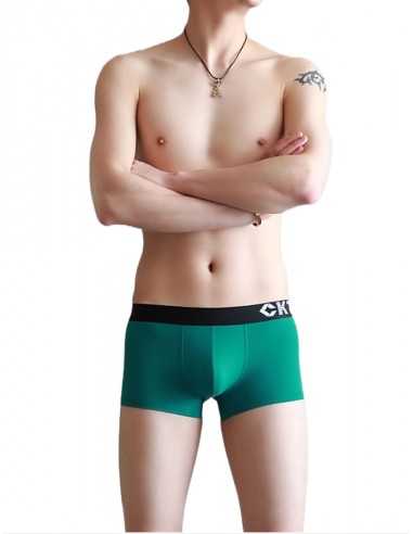 Nylon Boxer Shorts by WangJiang 3048-PJ green