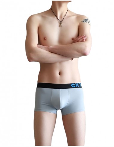Nylon Boxer Shorts by WangJiang 3048-PJ grey