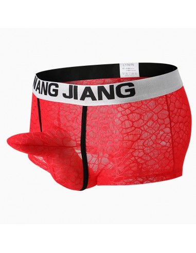 WangJiang Mesh Nylon Boxer Shorts with Cock Sock 3057-PJ