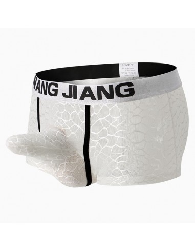 WangJiang Mesh Nylon Boxer Shorts with Cock Sock 3057-PJ