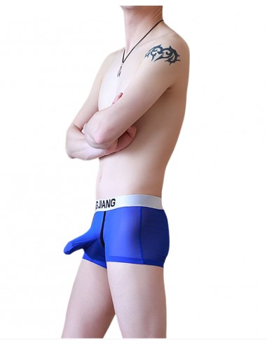 WangJiang Mesh Boxer Shorts with Cock Sock 3054-PJ blue