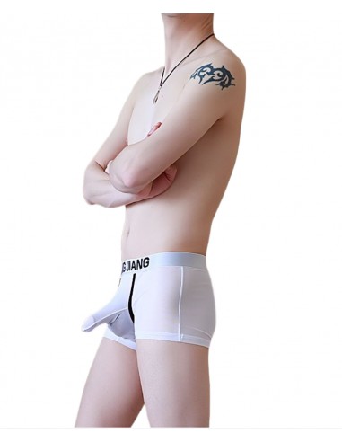 WangJiang Mesh Boxer Shorts with Cock Sock 3054-PJ white