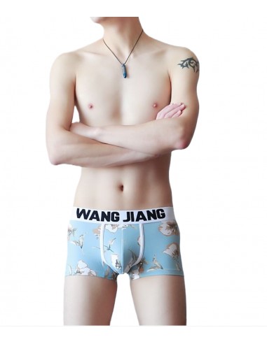 Cotton Boxer Shorts with Print by WangJiang 4024-PJ sky blue