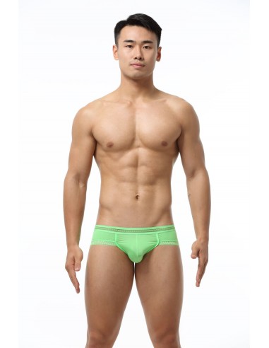 WangJiang Tight-Fitting Boxer Brief 1050-SJ green