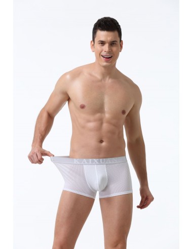 Mesh Nylon Boxer Shorts by WangJiang 5017-PJ white