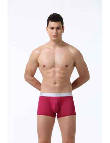 Mesh Nylon Boxer Shorts by WangJiang 5017-PJ red